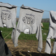 Mar. 1, 2016 – Idomeni, Greece. Clothing dries on barbed wire surrounding the refugee camp.